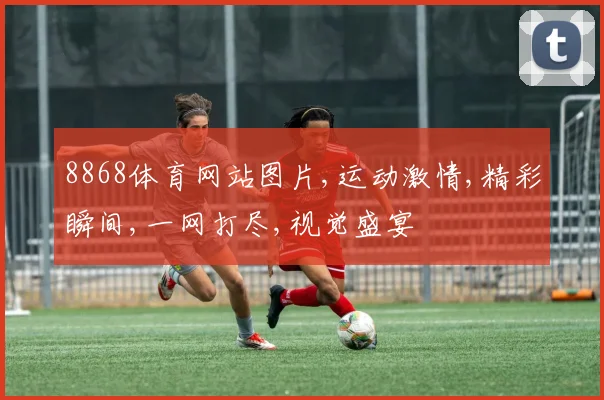 8868体育网站图片,运动激情,精彩瞬间,一网打尽,视觉盛宴